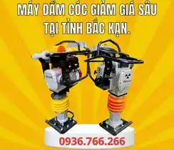 Mua Máy Đầm Cóc Tại Tỉnh Bắc Kạn