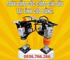 Mua Máy Đầm Cóc Tại Tỉnh Cao Bằng