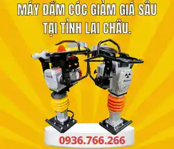 Mua Máy Đầm Cóc Tại Tỉnh Lai Châu