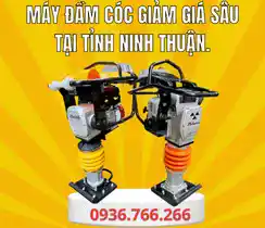 Mua Máy Đầm Cóc Tại Tỉnh Ninh Thuận