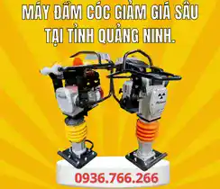Mua Máy Đầm Cóc Tại Tỉnh Quảng Ninh