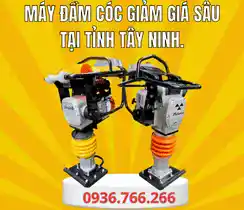 Mua Máy Đầm Cóc Tại Tỉnh Tây Ninh