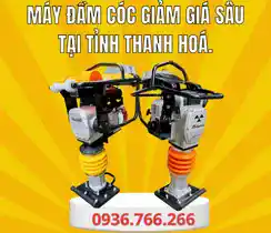 Mua Máy Đầm Cóc Tại Tỉnh Thanh Hóa
