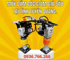 Mua Máy Đầm Cóc Tại Tỉnh Tuyên Quang