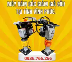 Mua Máy Đầm Cóc Tại Vĩnh Phúc