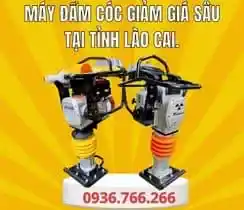 Mua Máy Đầm Cóc Tại Tỉnh Lào Cai